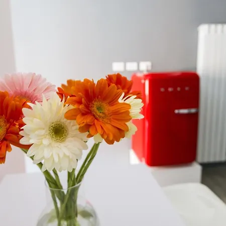 Appartement Miavia Marconi Bologna